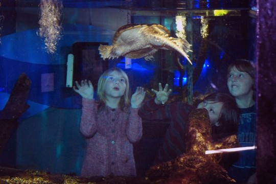 Nos images au Centre de la biodiversité du Québec